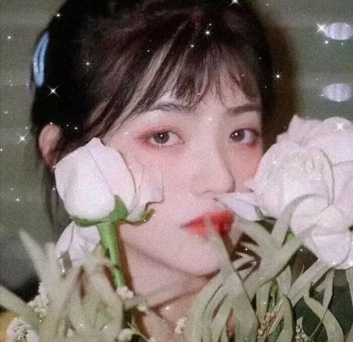 午夜蕾丝