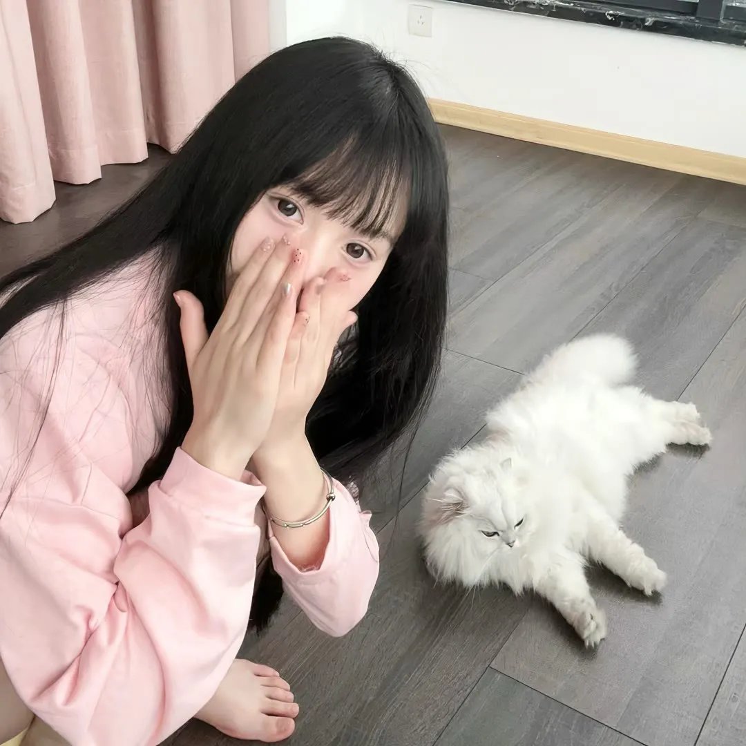 小小羊儿要回家